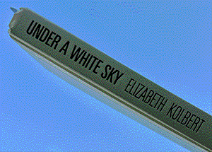 (Under A White Sky under a blue sky)